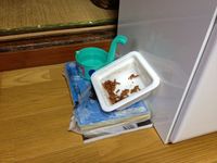 猫の餌箱