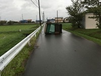 IMG_0690.jpg