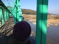 IMG_6029.jpg