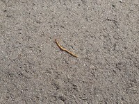 IMG_6041.jpg