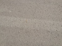 IMG_6043.jpg