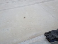 IMG_6126.jpg