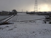 IMG_6137.jpg