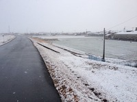 IMG_6140.jpg