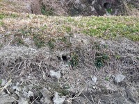 IMG_6292.jpg
