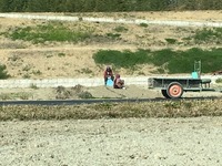 IMG_8772.jpg