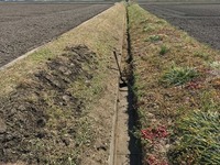 IMG_8856.jpg
