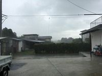 IMG_9380.jpg