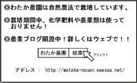 野菜ラベル