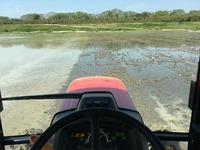 IMG_0250.jpg