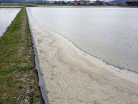 田のごみ
