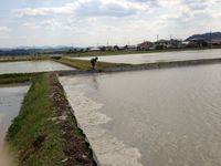 田のごみ上げ
