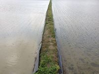 水の濁り比較