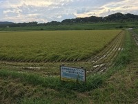 IMG_1639.jpg