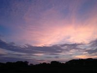 夕焼け