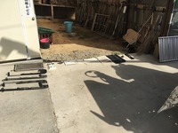 IMG_1973.jpg