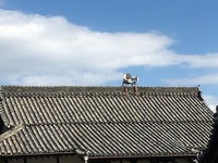 IMG_2018.jpg