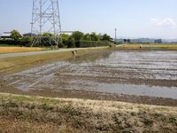 田んぼに入水