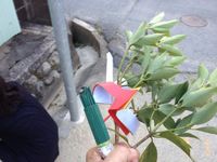精霊送り