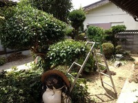 IMG_5271.jpg
