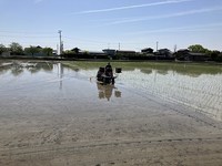 IMG_5520.jpg