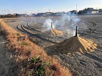 IMG_6767.jpg