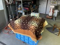 IMG_6811.jpg