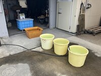 IMG_6827.jpg