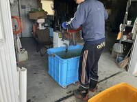 IMG_6828.jpg