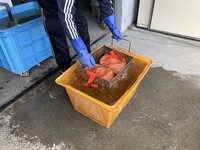 IMG_6830.jpg