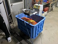 IMG_6855.jpg