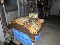 IMG_6857.jpg