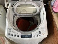 IMG_6859.jpg