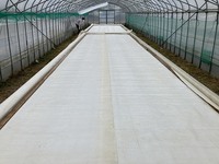IMG_6868.jpg