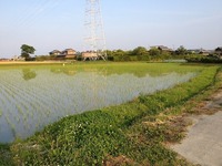IMG_6937.jpg