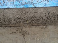 IMG_6973.jpg
