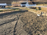 IMG_8570.jpg