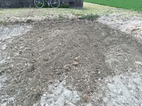IMG_8703.jpg
