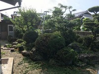 IMG_9304.jpg