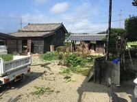 IMG_9305_LI.jpg