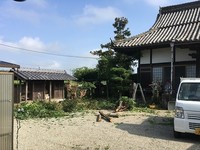 IMG_9306.jpg