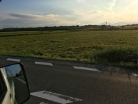 IMG_9355.jpg